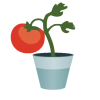 Urban veggie garden